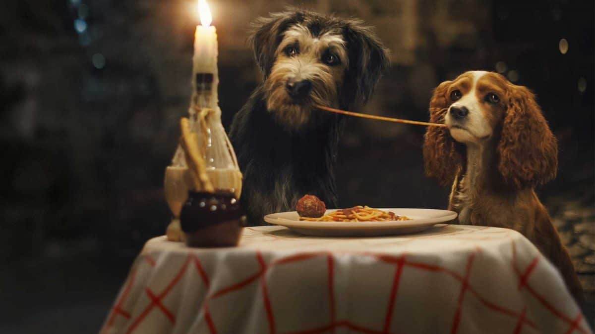 Susi und Strolch beim Spaghetti essen.