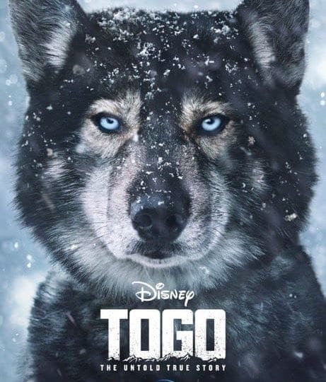 "Togo" | Film Kritik | Disney+ | 2020