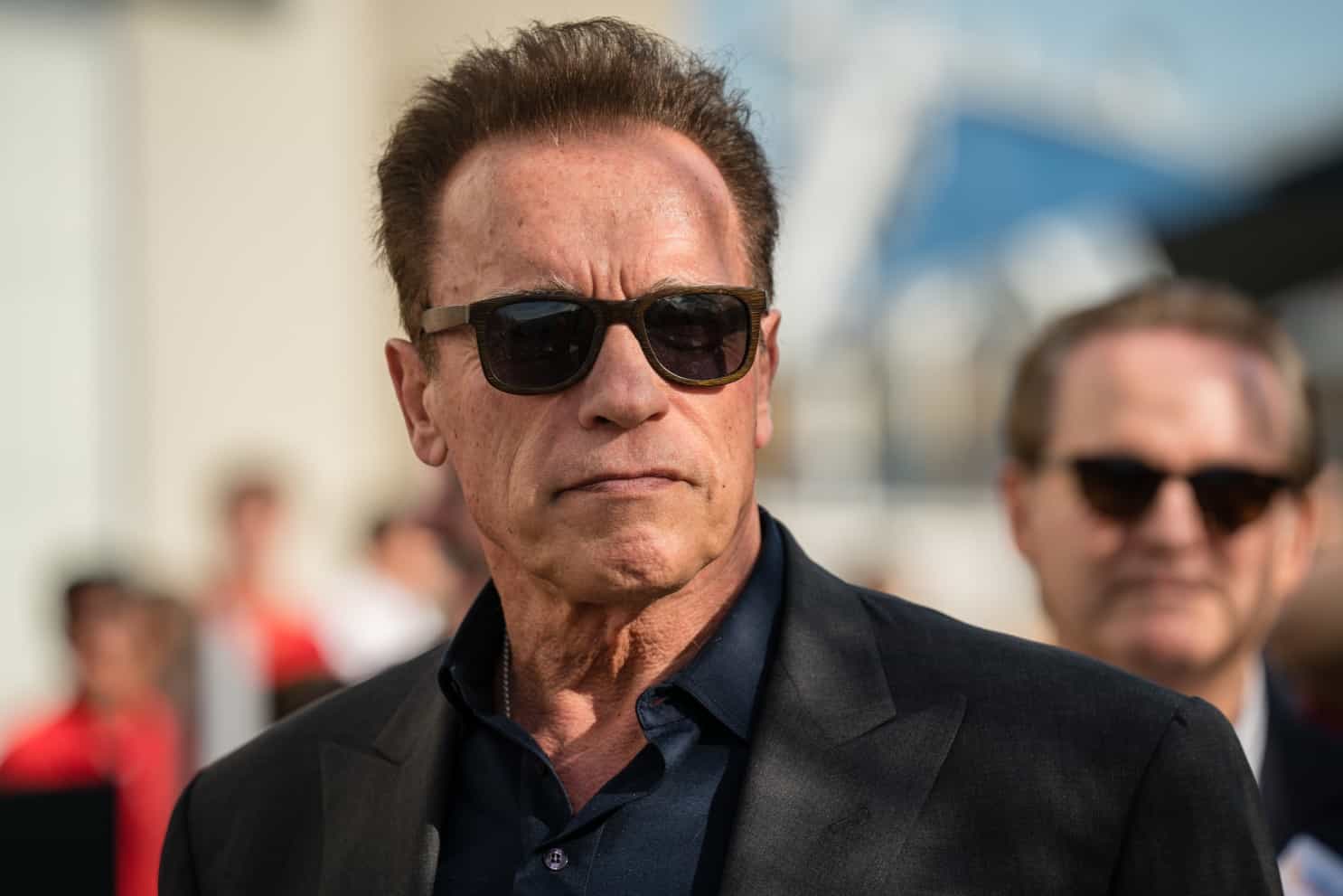 Arnold Schwarzenegger In Netflix Spionage - Serie
