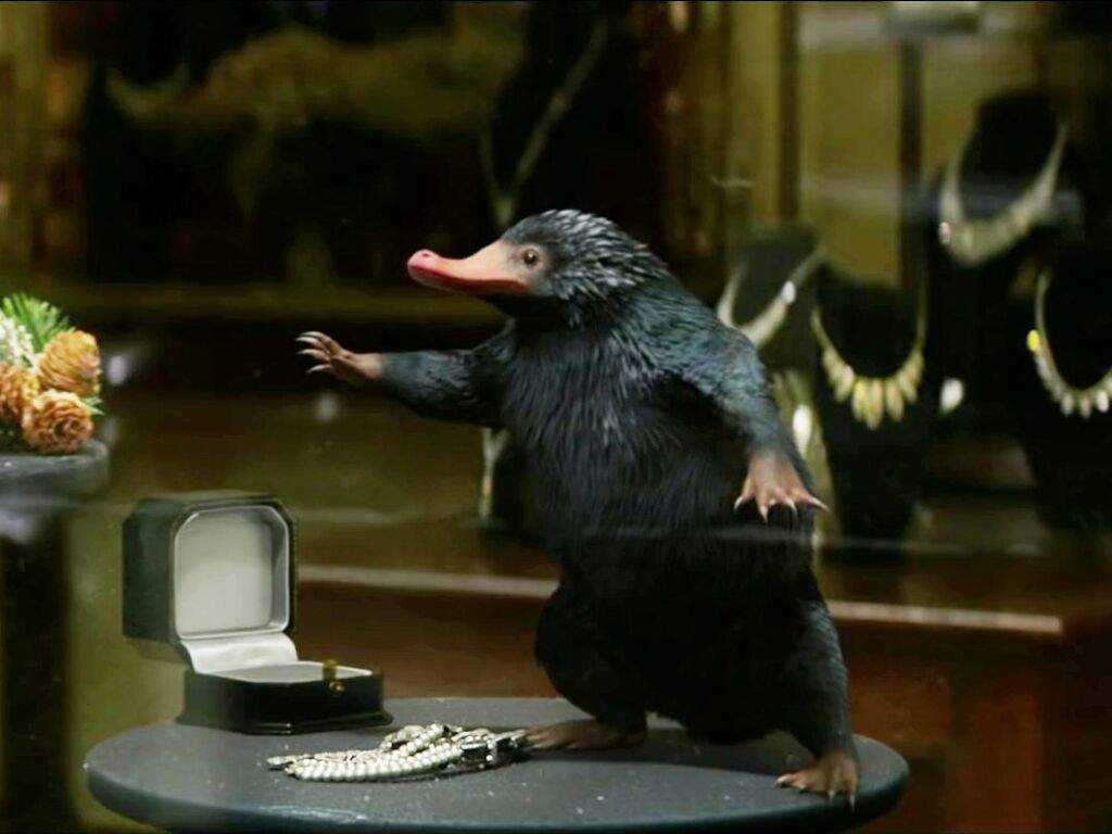 Der "Niffler" aus "Phantastische Tierwesen Und Wo Sie Zu Finden Sind" ©Warner Bros. Entertainment