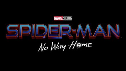 Spider Man 3: No Way Home