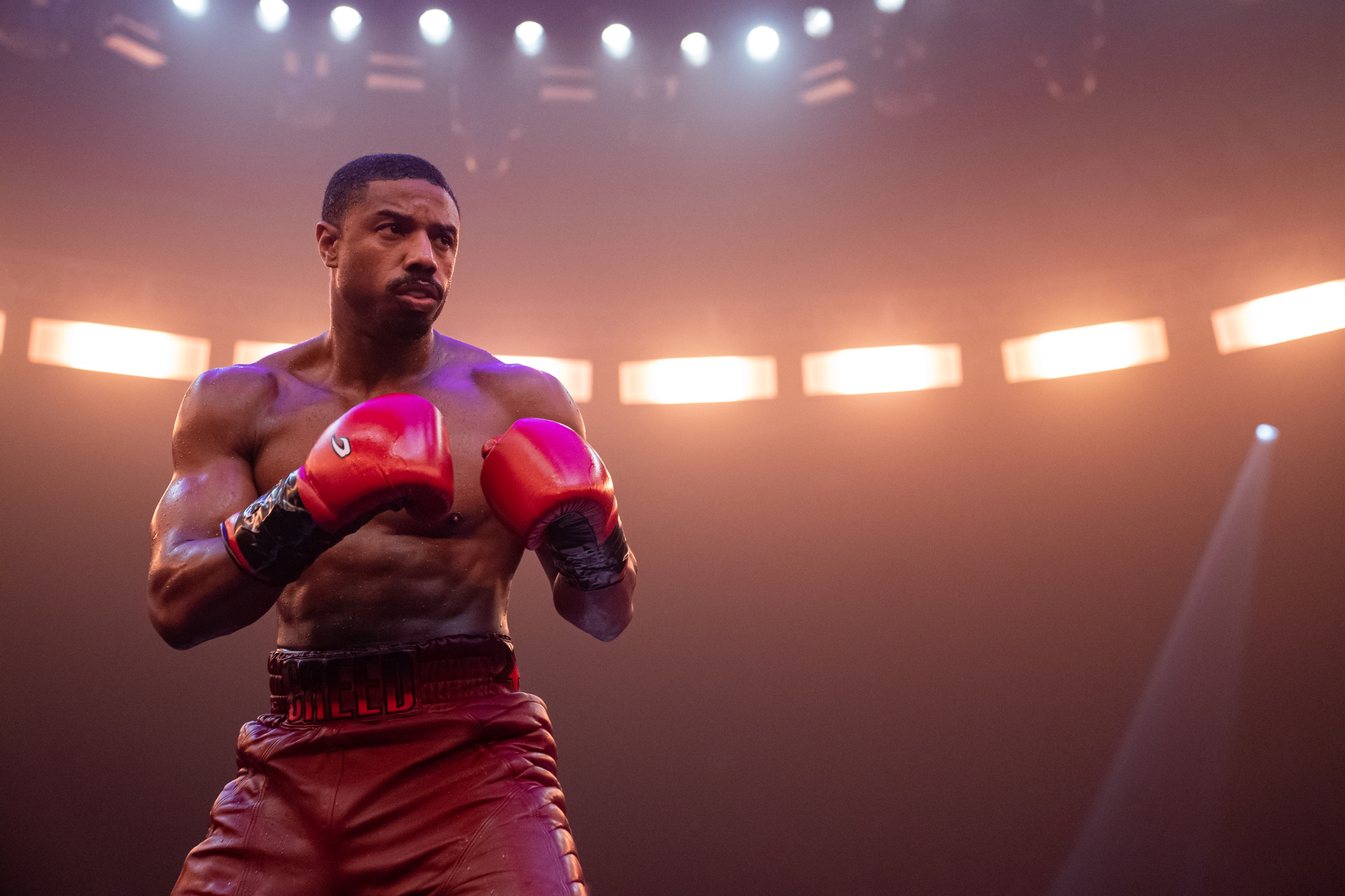 Adonis Creed im Ring (Michael B. Jordan)