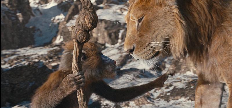 Mufasa: Der König der Löwen