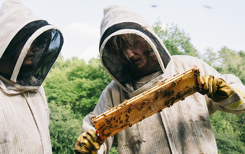 Aidan Delbis und Jesse Plemons in BUGONIA